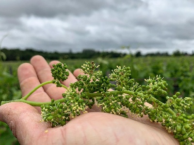 Les d�marches environnementales 